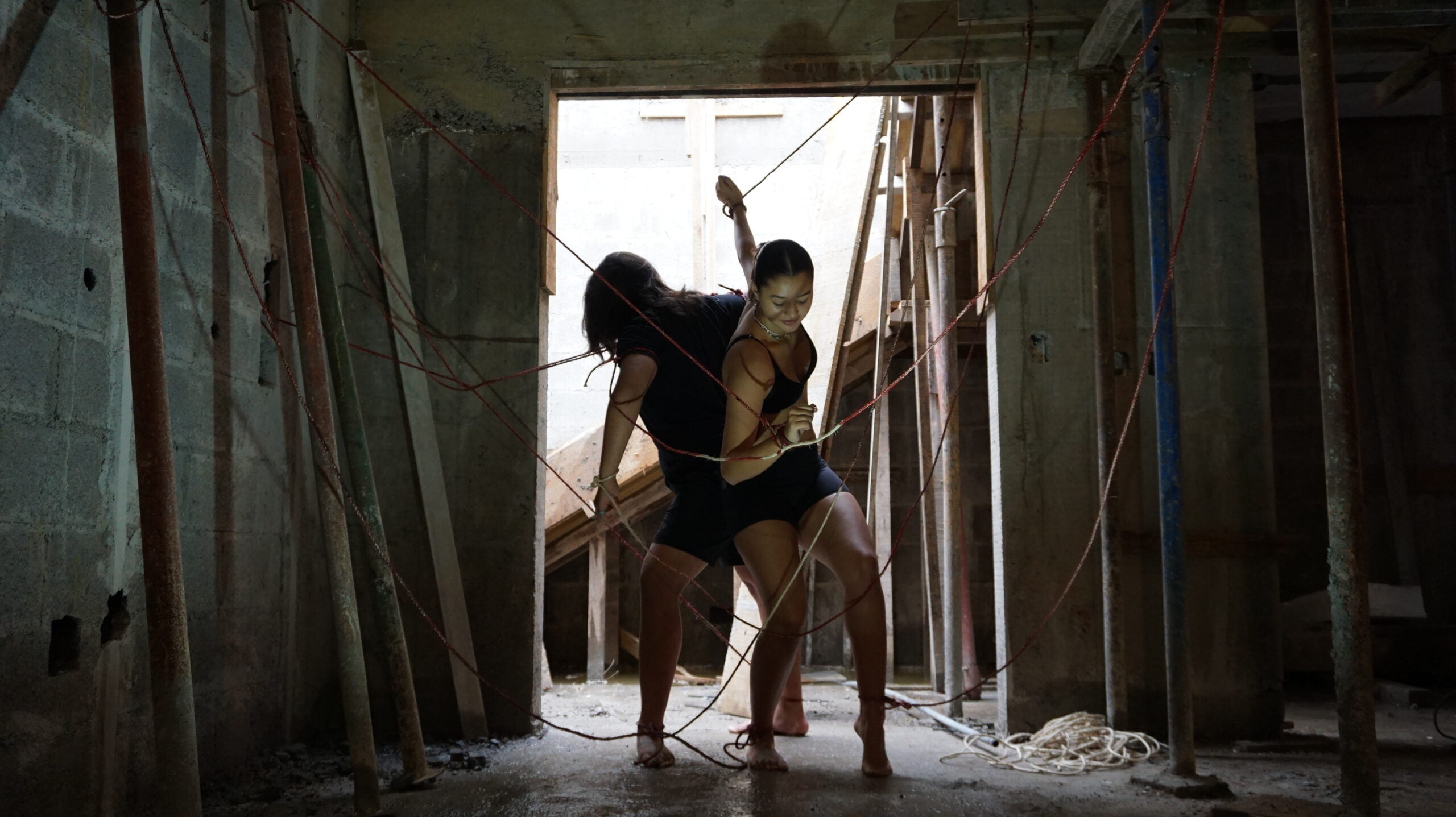 FREEDOM by Ana Julia Benitez Camacho