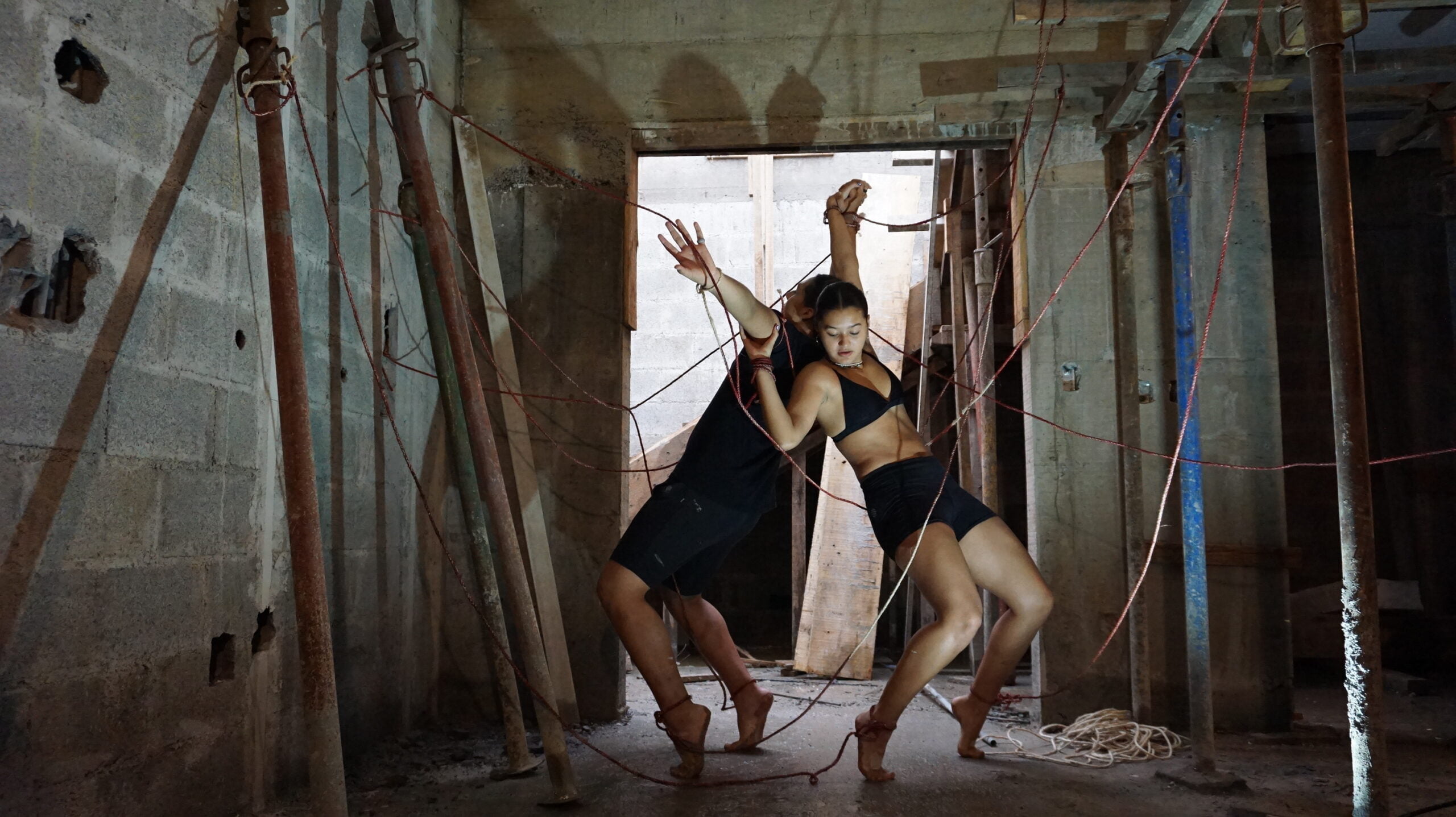 FREEDOM by Ana Julia Benitez Camacho