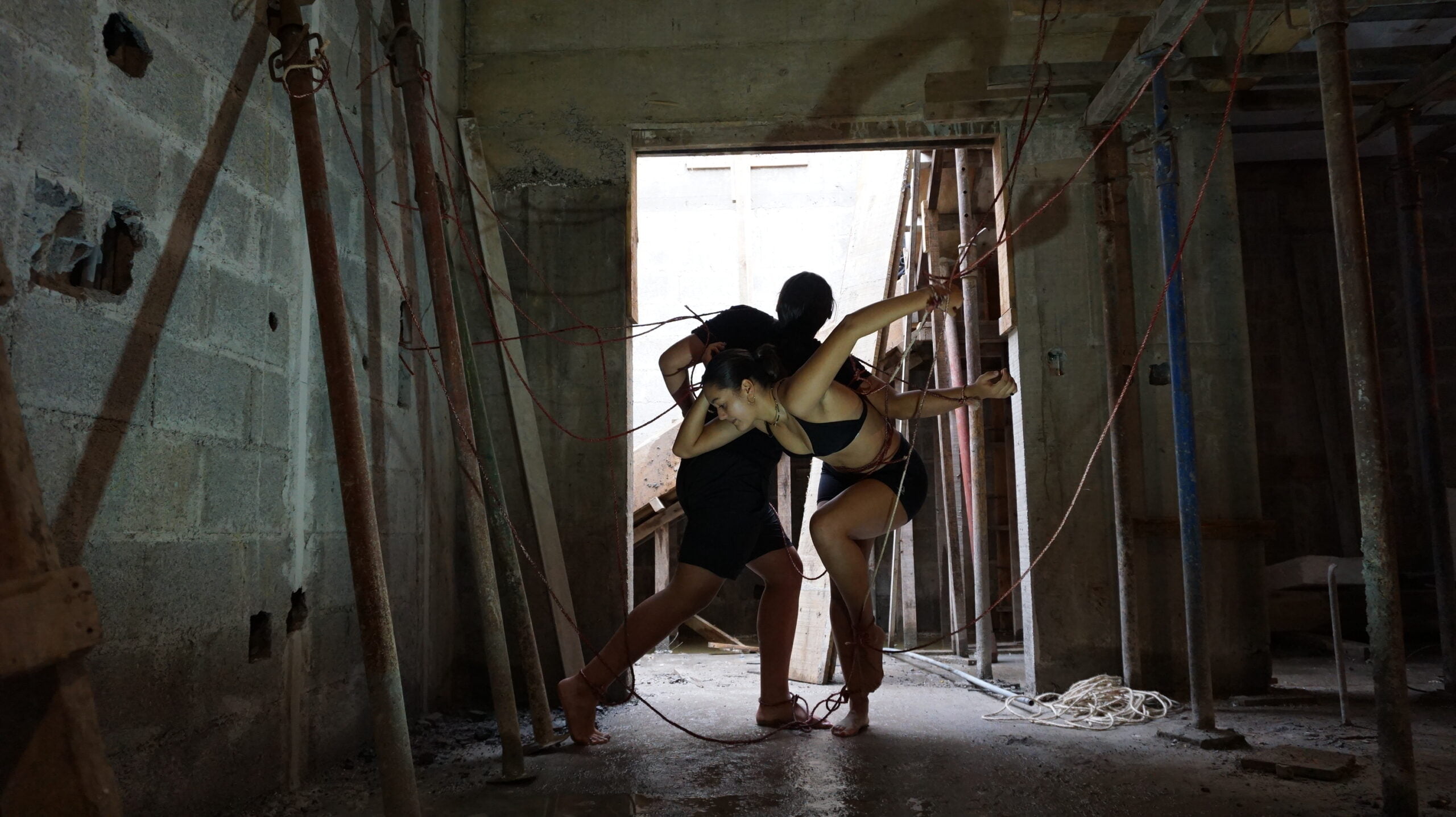 FREEDOM by Ana Julia Benitez Camacho